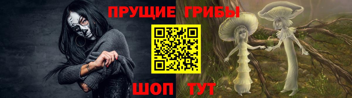 Псилоцибиновые грибы Magic Shrooms  Вход с VPN  Северобайкальск  Псилоцибиновые грибы Psilocybe 